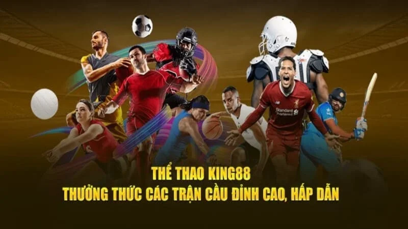 Giới thiệu chung về sảnh thể thao King88 đình đám